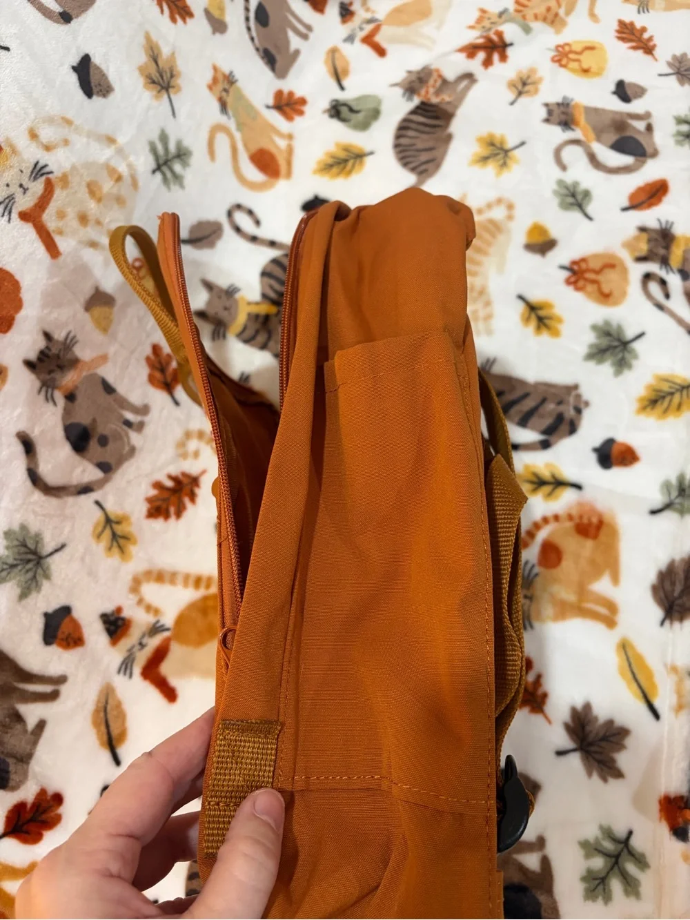 Fjallraven autumn 🍂
